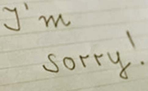 关于道歉的句子