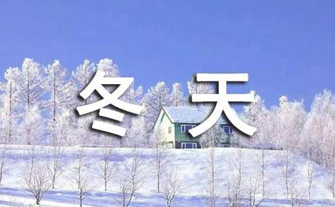 【精品】冬天的雪作文四篇