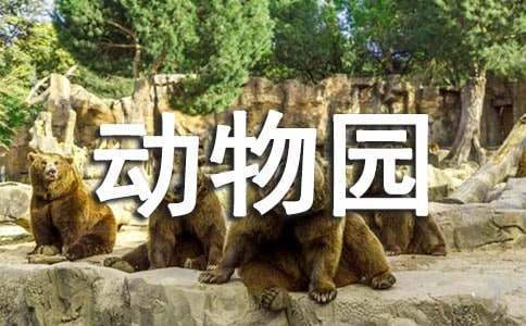 游北京动物园作文