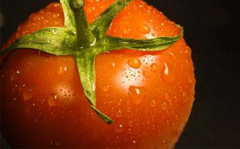 番茄炒蛋优秀作文（通用63篇）