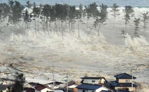 海啸奇迹观后感