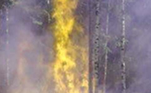 预防森林火灾标语