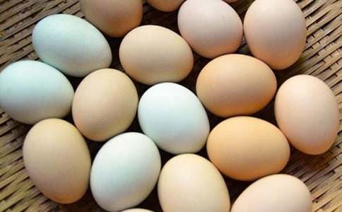 煎鸡蛋优秀作文（实用13篇）