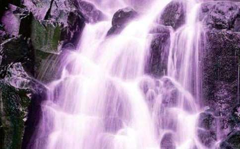 五紫藤萝瀑布（苏教版八年级下）