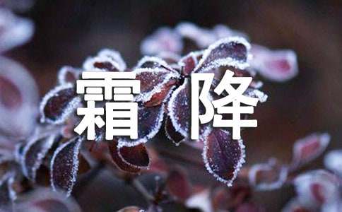 霜降节气短信祝福语