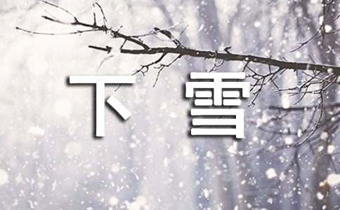 【精华】下雪的日记范文集锦6篇