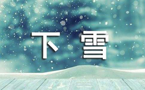 【精华】下雪日记锦集10篇