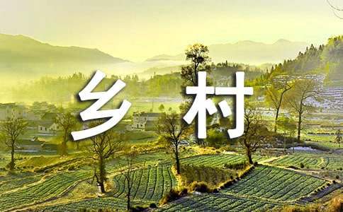 “三农”问题困扰下的中国乡村治理