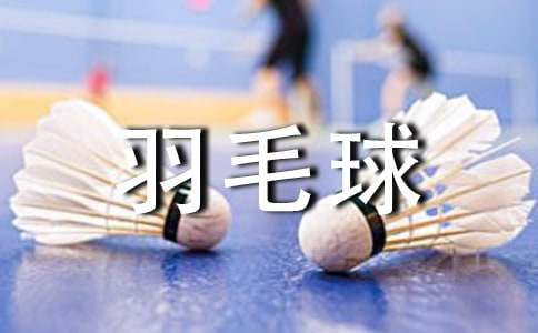 【热门】打羽毛球小学生作文锦集六篇