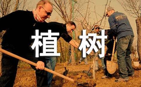 植树造林活动倡议书