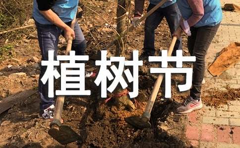 【热门】植树节活动方案